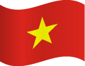 ayp vietnam